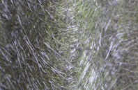 Hawkley fibreglass roof work